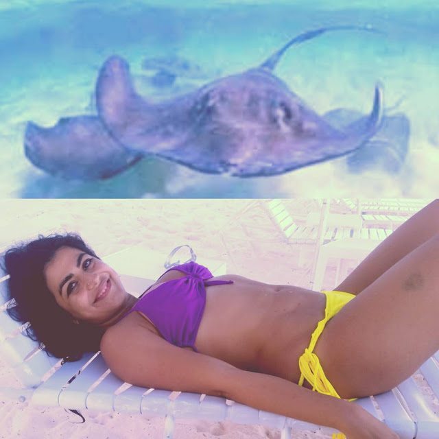 Shenaz Treasurywala Bikini