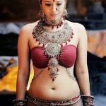 Reema Sen Hot Navel Pics