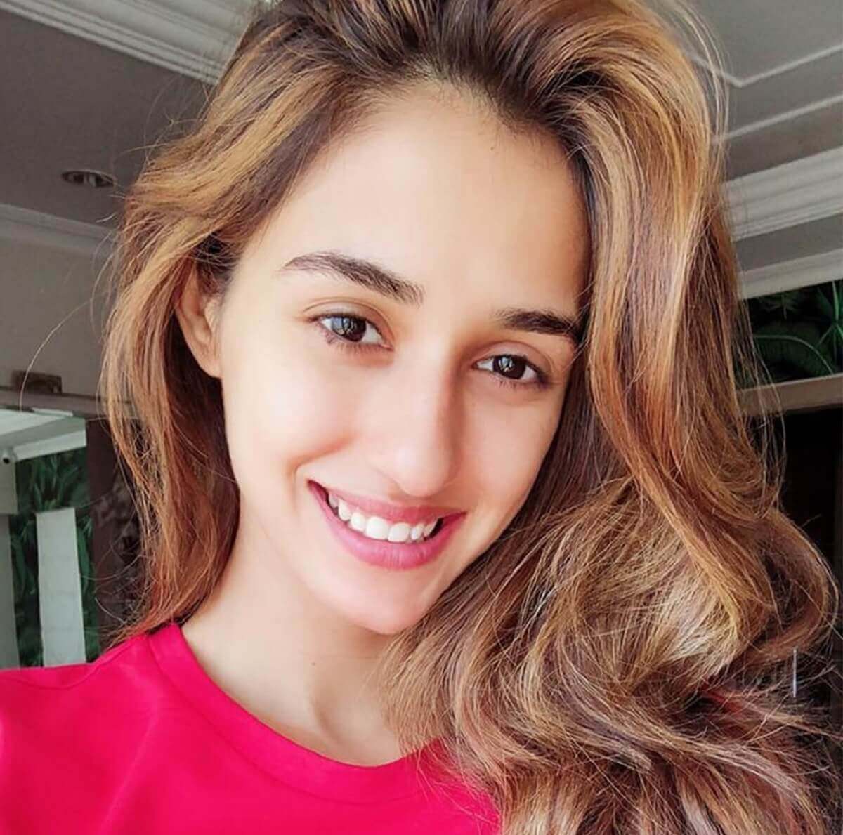 Disha Patani Biography