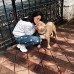 Larissa Bonesi American Bully Panda