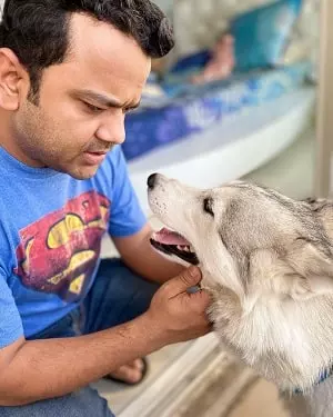 kumar varun with his alaskan husky
