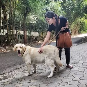 kashmira pardeshi with her pet dog shiro