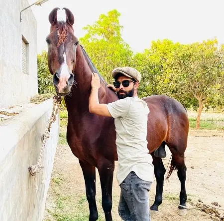ravindra jadeja with his horse