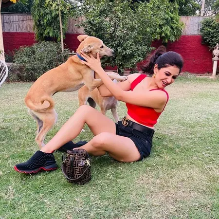 surilie gautam with her pet dogs