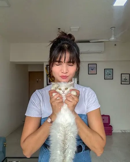 vani nayak with her persian cat